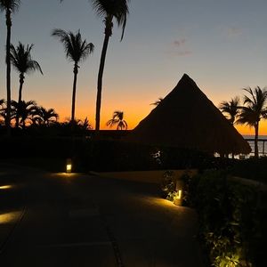 Meet your Posher, Willow